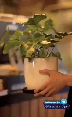 عکس نوشته صبر میکنم تا