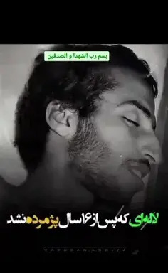 عکس نوشته من شنیدم سر عشاق به زانوی شماست