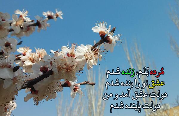 عکس نوشته من شنیدم سر عشاق به زانوی شماست