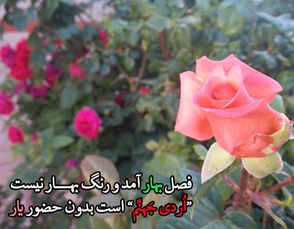 عکس نوشته من شنیدم سر عشاق به زانوی شماست