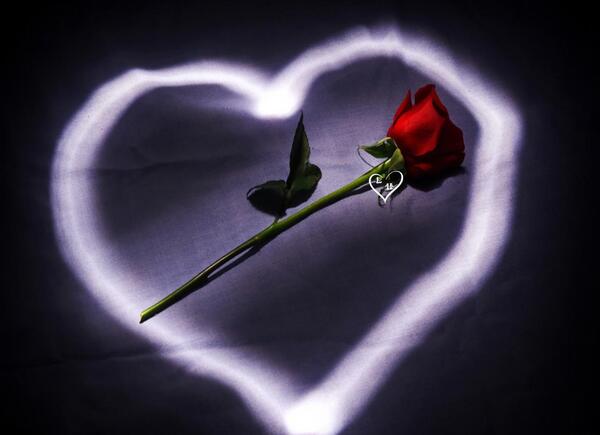 عکس های فادیک