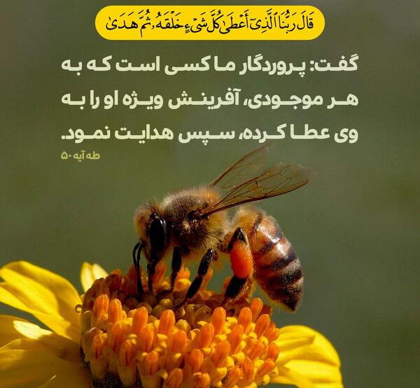 عکس نوشته قرانی در مورد تهمت