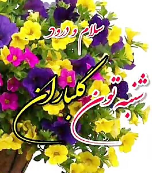 عکس سلام ظهر شنبه تون بخیر