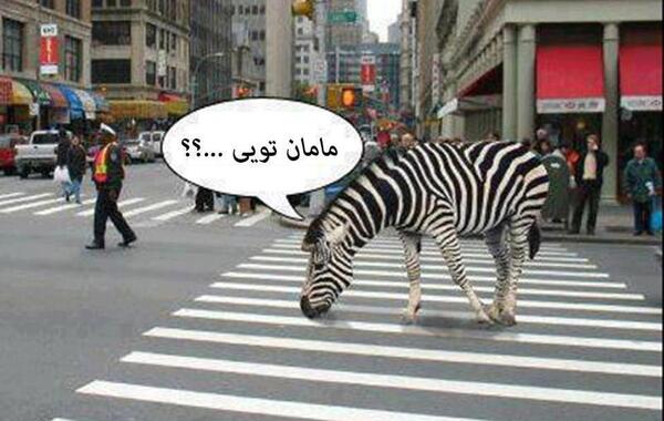 عکس خنده دار مژگان