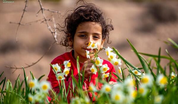 عکس پرتره گل نرگس