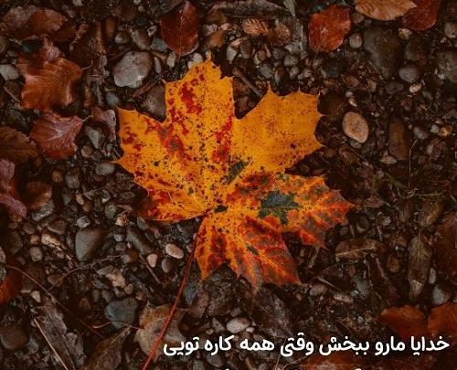 عکس نوشته خدایا شکرت بخاطر حال خوبم