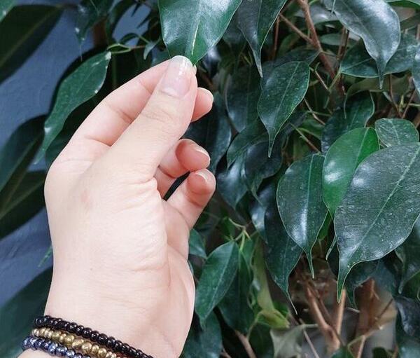 عکس دایرکت مساوی بلاک
