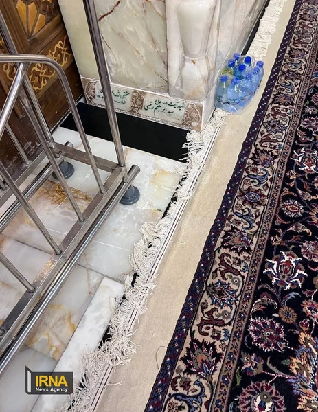 عکس نیوشا ضیغمی در حرم امام رضا
