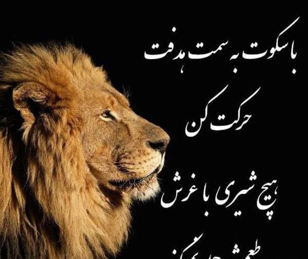 عکس متن موفقیت