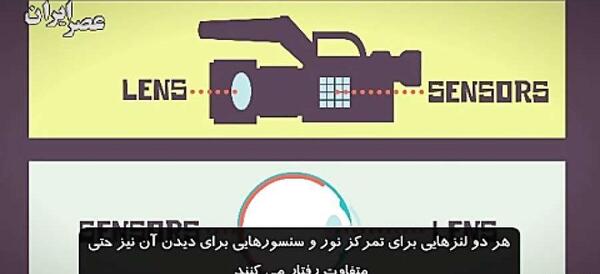 عکس ضربان قلب و قلب