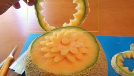 عکس پالت کش