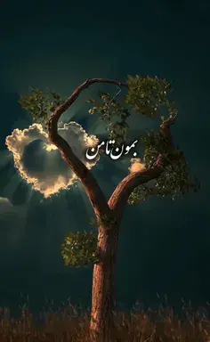 عکس راغب علامه خواننده