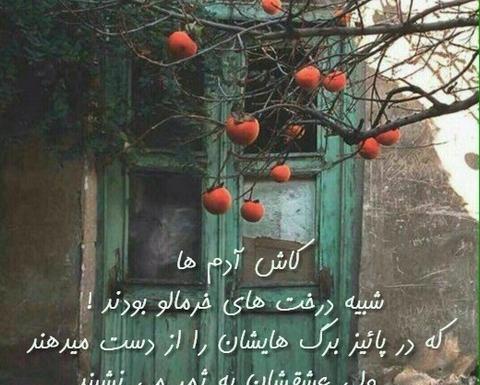 عکس نوشته غمگین پاییزی