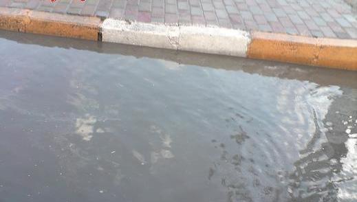چند عکس سال نو