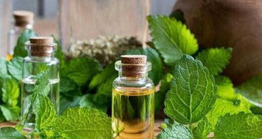 عکس آزاده حاتمی