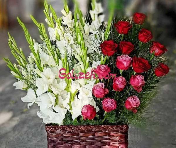 عکس گل سما