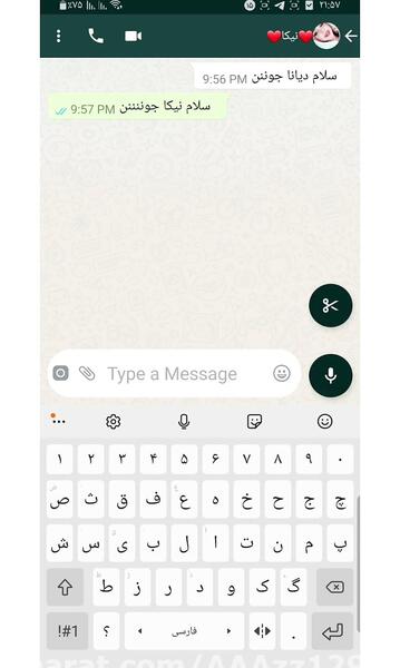 عکس دیانا نیکا و عسل