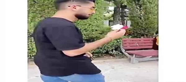عکس دیانا نیکا و عسل