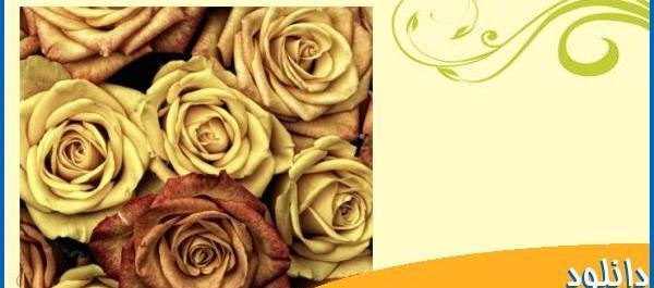عکس های پروفایل گل های زیبا