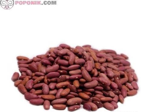 عکس تصویر لوبیا سویا