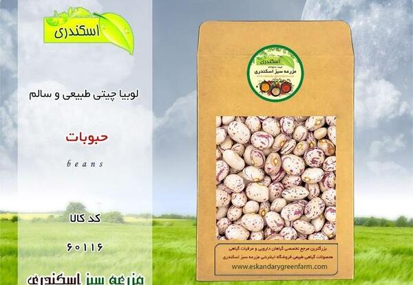 عکس تصویر لوبیا سویا
