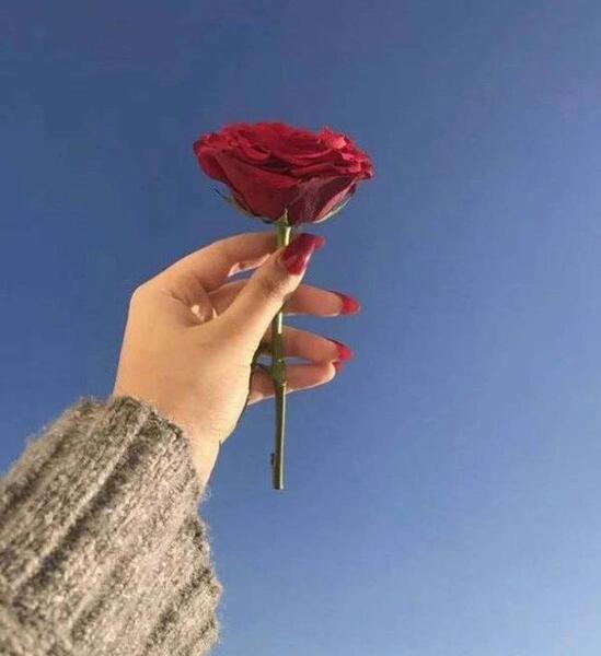 عکس دخترانه گل