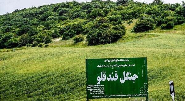 عکس زمستان روستا