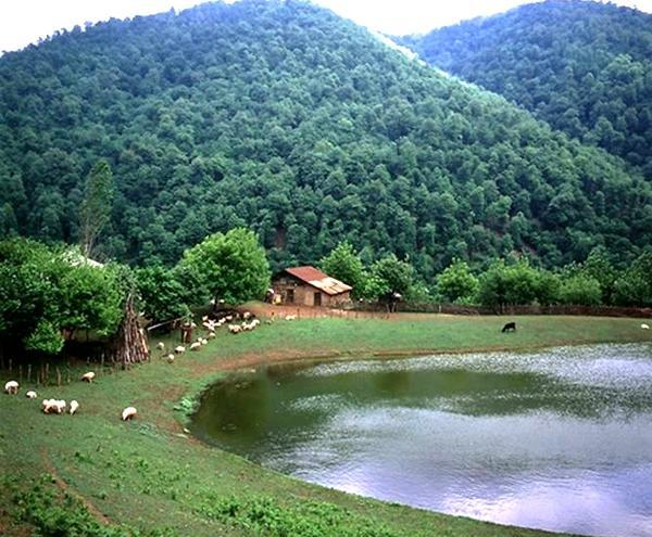 عکس زمستان روستا