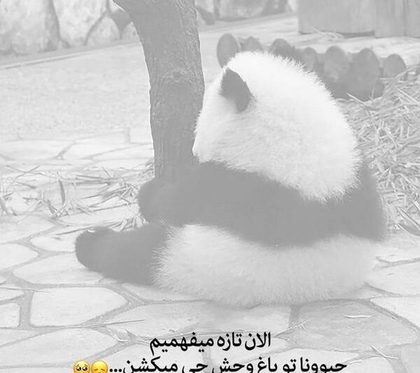 عکس نوشته غمگین جدید ۱۴۰۱