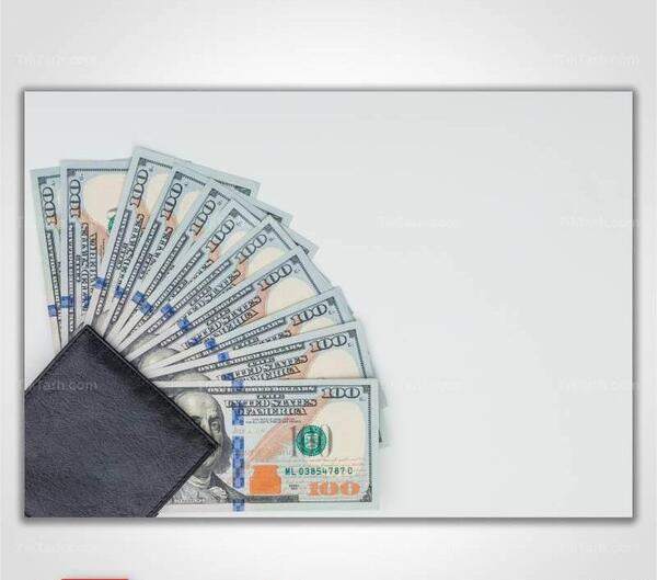عکس دلار در کیف