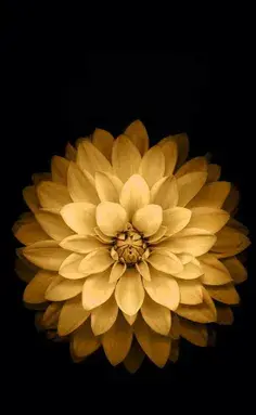 عکس نوشته من جذابم