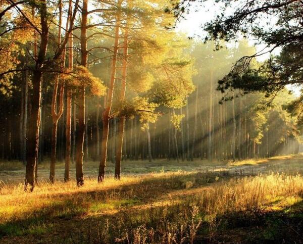 عکس پروفایل زیبای ترکی
