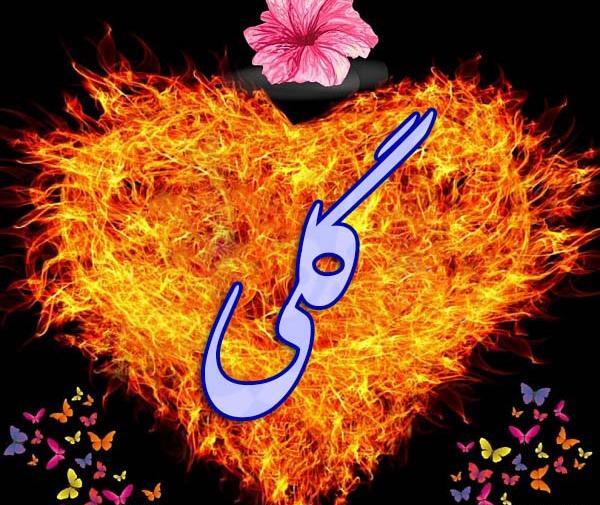 عکس نوشته اسم گلی