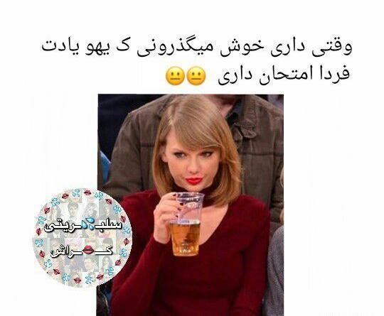 عکس گوه مارمولک