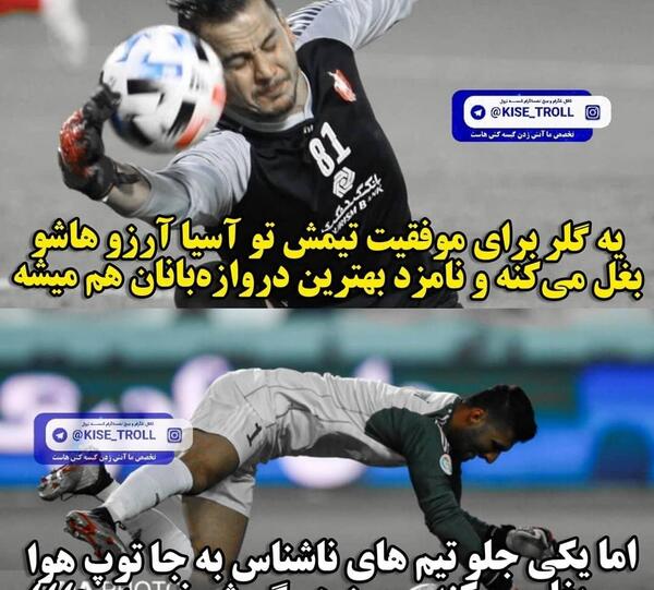 عکس گوه مارمولک