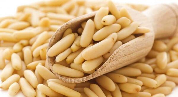 عکس چلغوز افغانستان