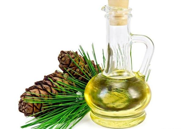 عکس چلغوز افغانستان