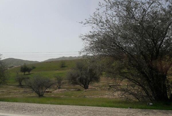 عکس از طبیعت مسجدسلیمان