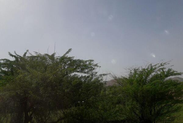 عکس از طبیعت مسجدسلیمان