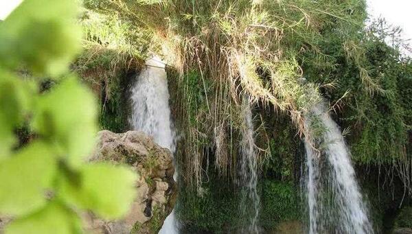 عکس از طبیعت مسجدسلیمان
