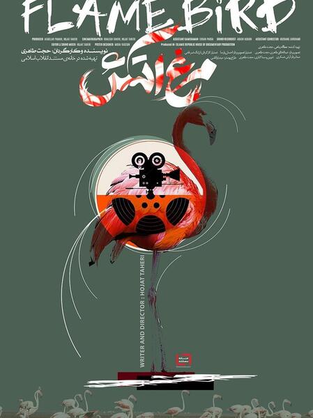 عکس حجت طاهری