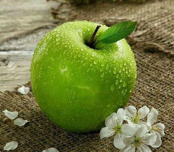 عکس نوشته اخلاقی و مذهبی