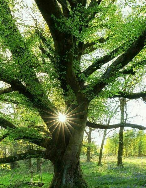 عکس نوشته اخلاقی و مذهبی