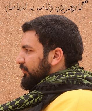 عکس آرم شاهین نجفی
