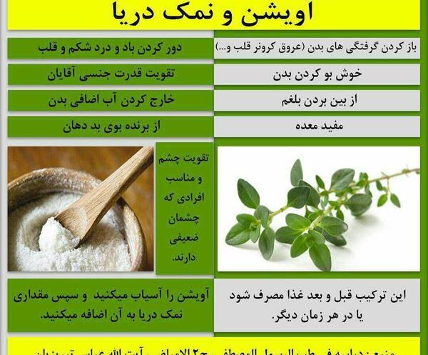عکس اویشن پیتزا