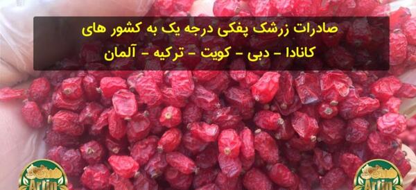 عکس زرشک خشک شده