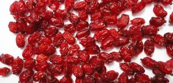 عکس زرشک خشک شده