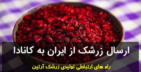 عکس زرشک خشک شده
