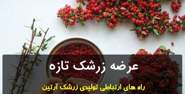 عکس زرشک خشک شده