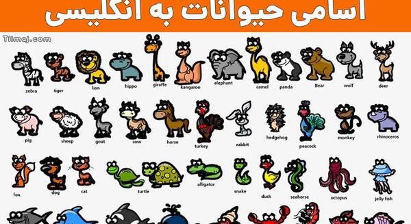 عکس رنگ ها